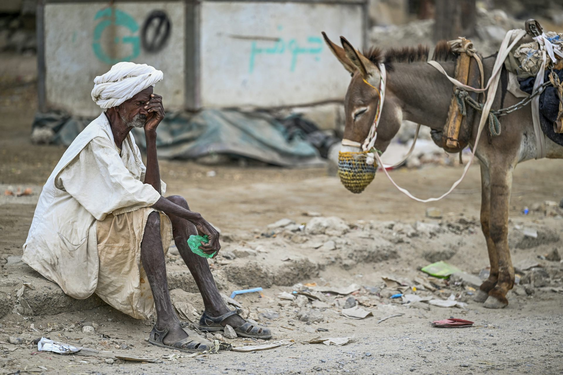 A man sits on the ground next to a donkey