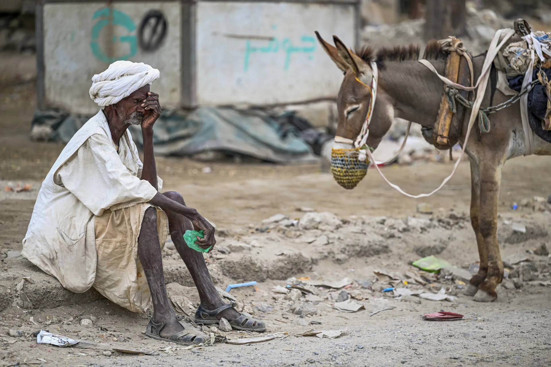 A man sits on the ground next to a donkey