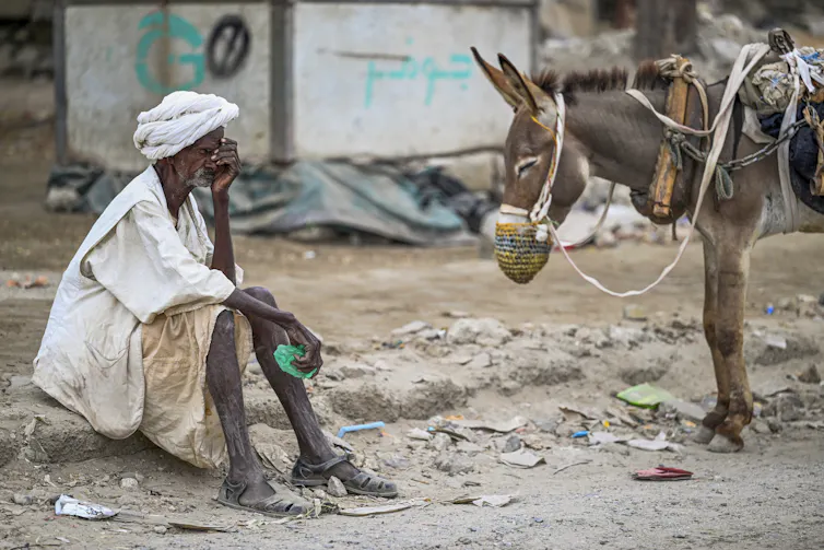 A man sits on the ground next to a donkey