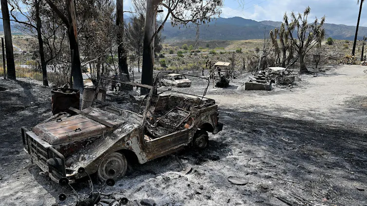 Burnt out cars, scorched trees and grey ash in a dry landscape.