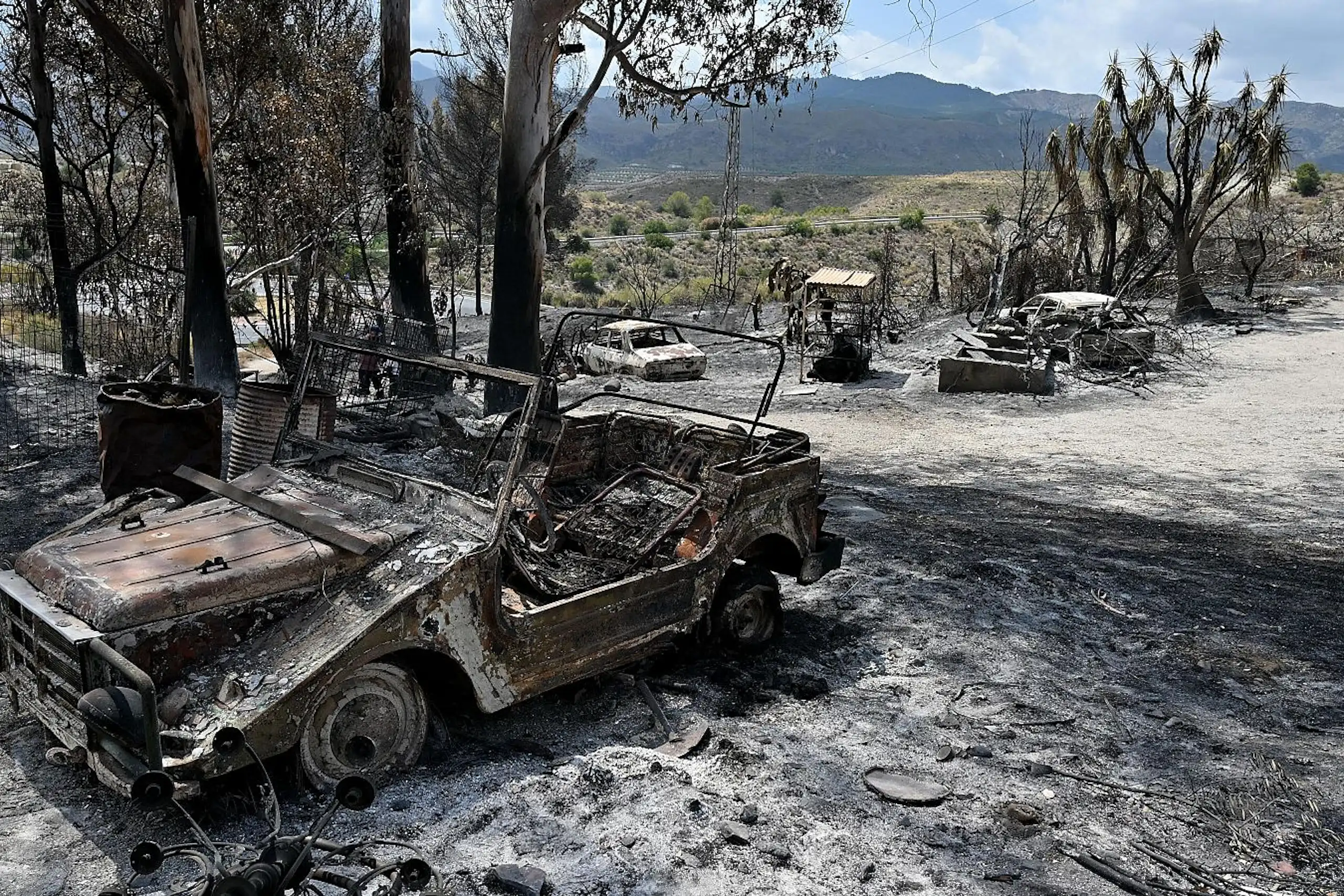 Burnt out cars, scorched trees and grey ash in a dry landscape.