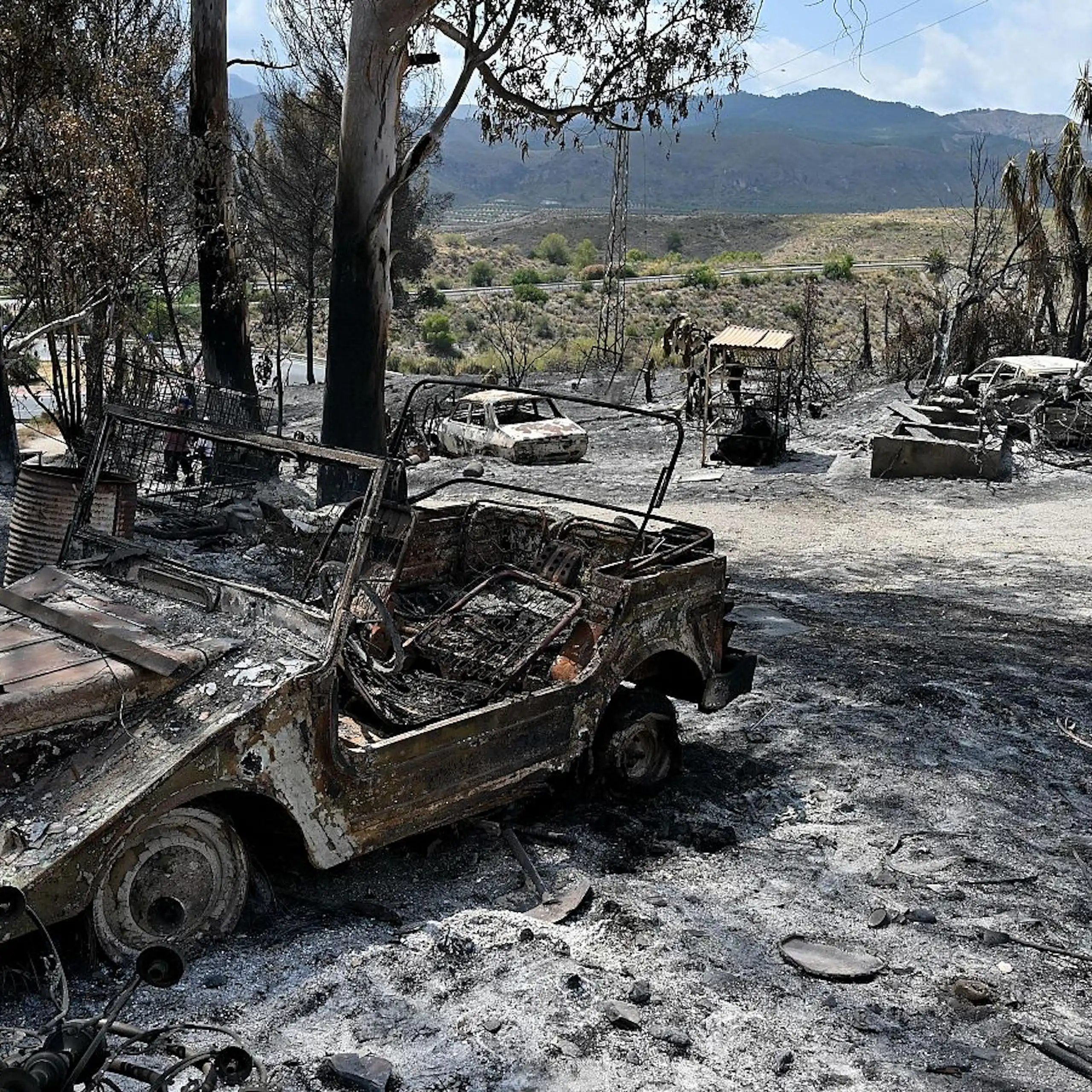 Burnt out cars, scorched trees and grey ash in a dry landscape.