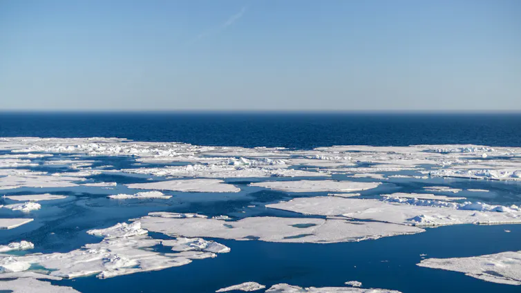 Arctic sea ice from above
