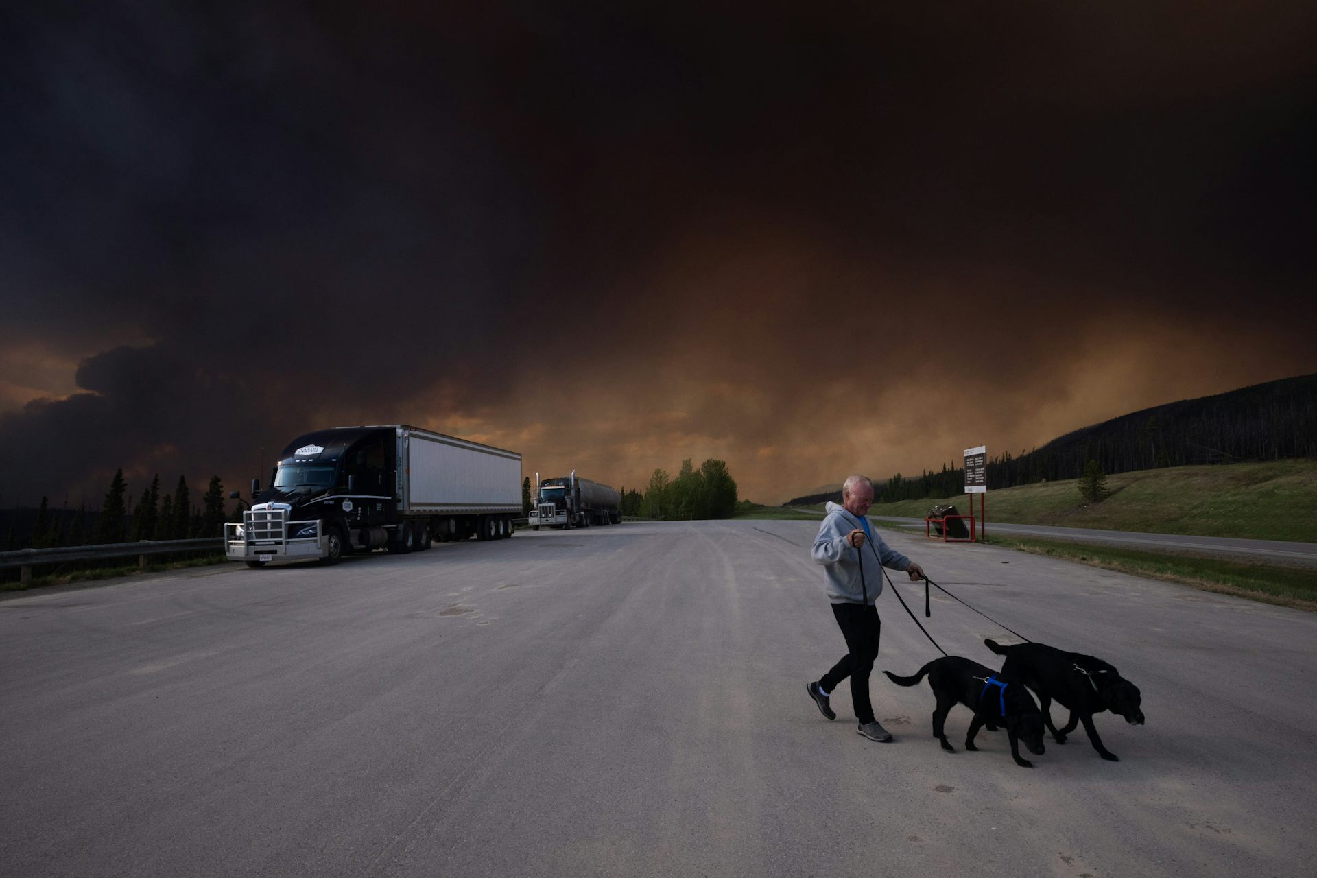 Un hombre pasea a sus perros por la carretera con humo de fondo.