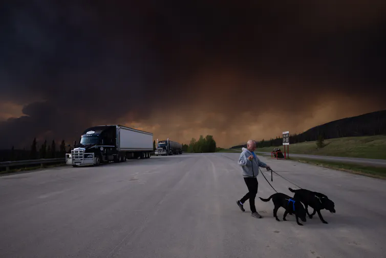 Un hombre pasea a sus perros por la carretera con humo de fondo.