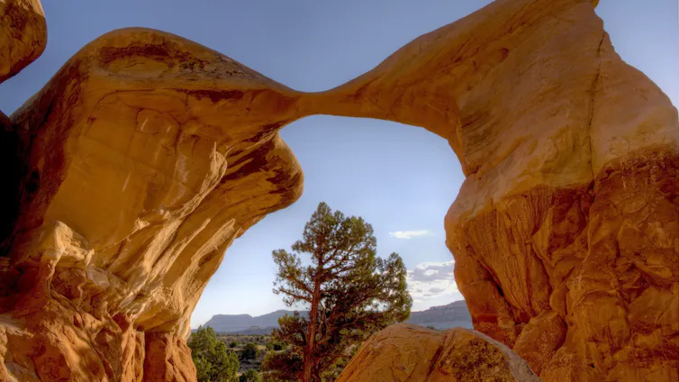 A massive sandstone arch frames a lone tree growing in the distance, against a backdrop of a clear blue sky.