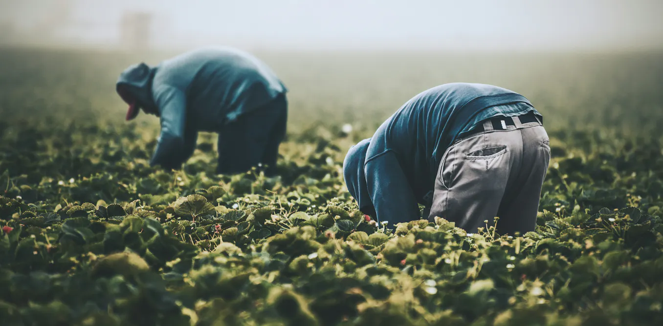 EduWireDaily — Australian companies to face fines and criminal action if they fail to prevent modern slavery