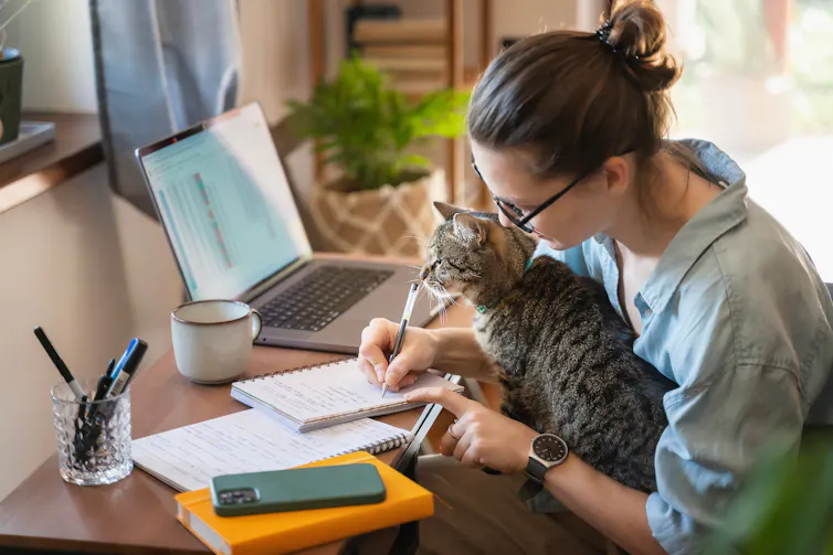 Woman with laptop and notebooks working with cat on her lap