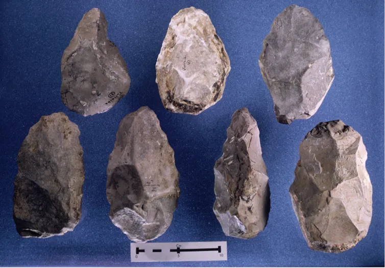 Humanos y elefantes en el yacimiento paleolítico de Toralba, Soria: juntos pero no mezclados 1 file 20260716 57 nreefr.jpg?ixlib=rb 4.1