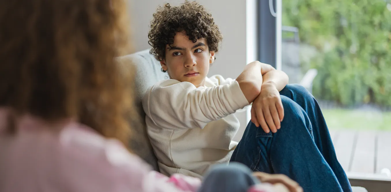 When a teenager makes the ‘stupid choice’, their brain is working exactly as designed When a teenager makes the ‘stupid choice’, their brain is working exactly as designed
