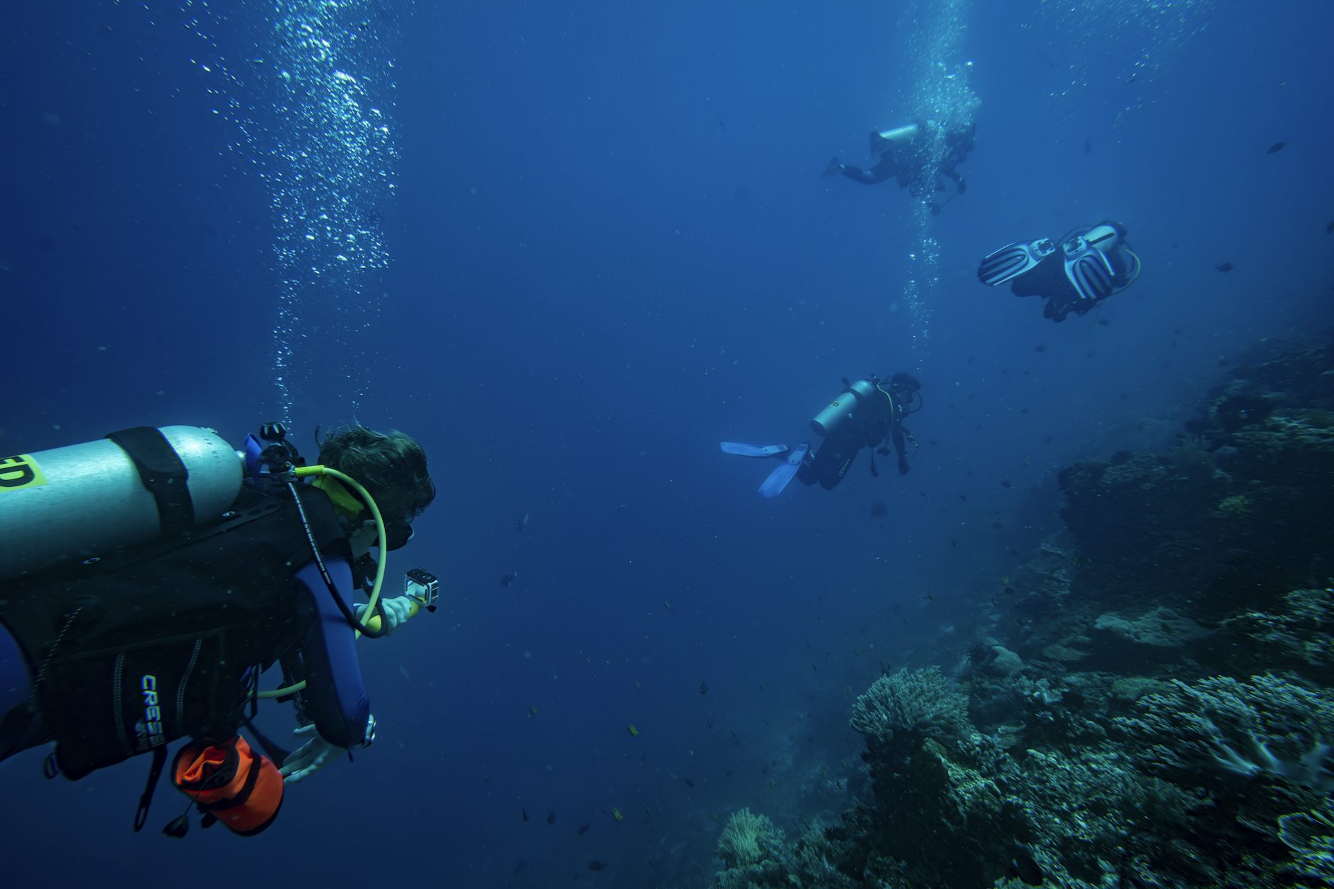 A researcher following scuba divers to monitor behaviour of divers. Underwater shot, one diver in foreground.
