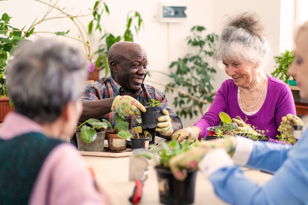 theconversation.com - Eric Cerino - In memory care deserts, senior centers can help close the gap in brain-related healthcare