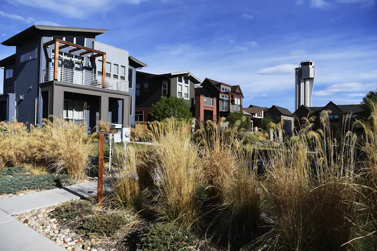 A narrow sidewalk lined with tall grasses stretches across affordable housing units, one unit being blue and black and the other being red and dark green
