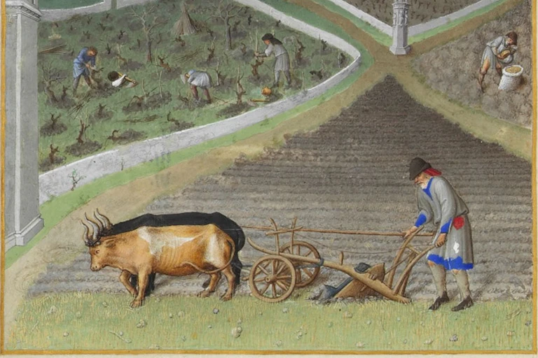 Part of an illustration of a farm worker in a field, medieval period.