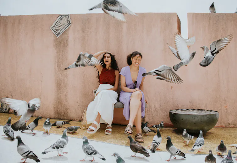 Pigeons surrounding two people sitting on a bench laughing