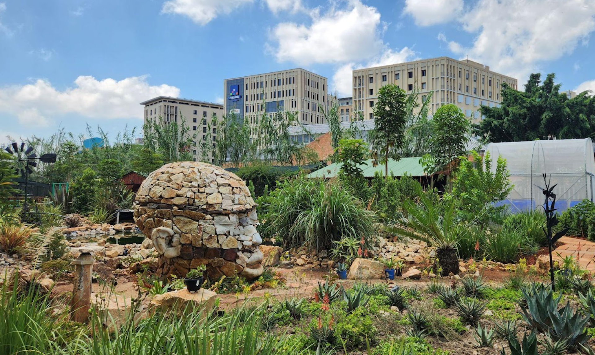 EduWireDaily — Lessons from South Africa on how parks and community gardens can help cities adapt to climate change