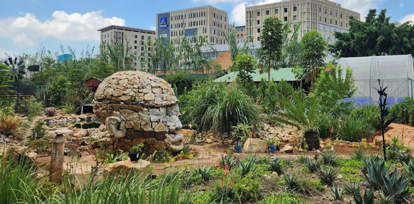 EduWireDaily — Lessons from South Africa on how parks and community gardens can help cities adapt to climate change