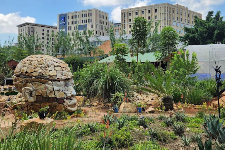 A park with a greenhouse, different plants everywhere, a stone sculpture of a head and stone terraces