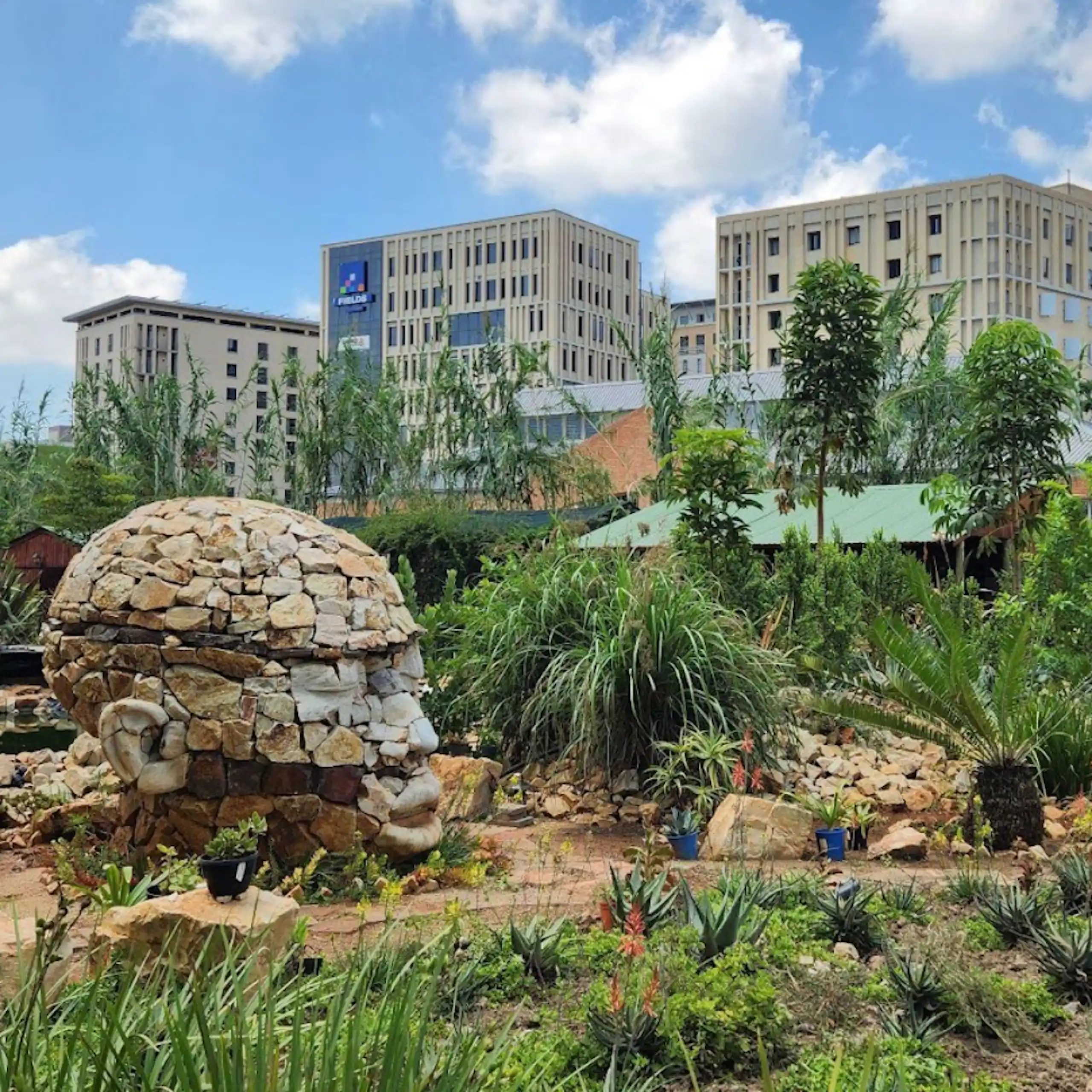 A park with a greenhouse, different plants everywhere, a stone sculpture of a head and stone terraces