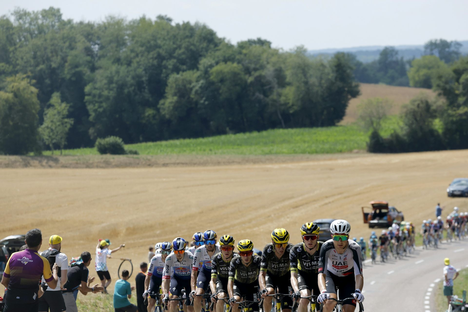 EduWireDaily — Domestiques, sprinters and climbers: who’s who in the Tour de France peloton (and why it matters)