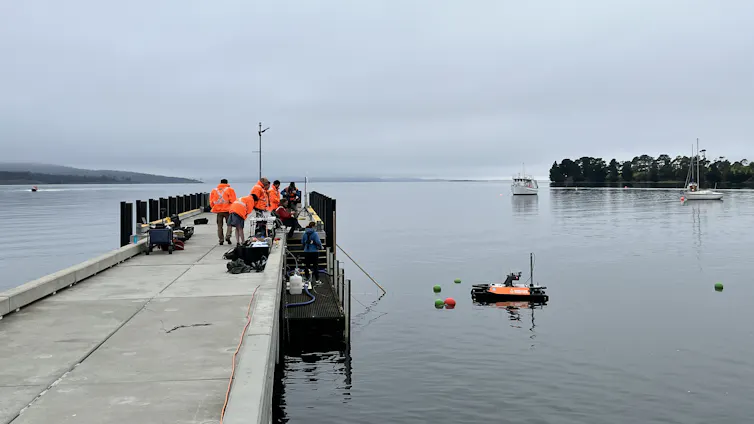 A group of researcheit ours in orange jackets on a jetty, conducting field tests.