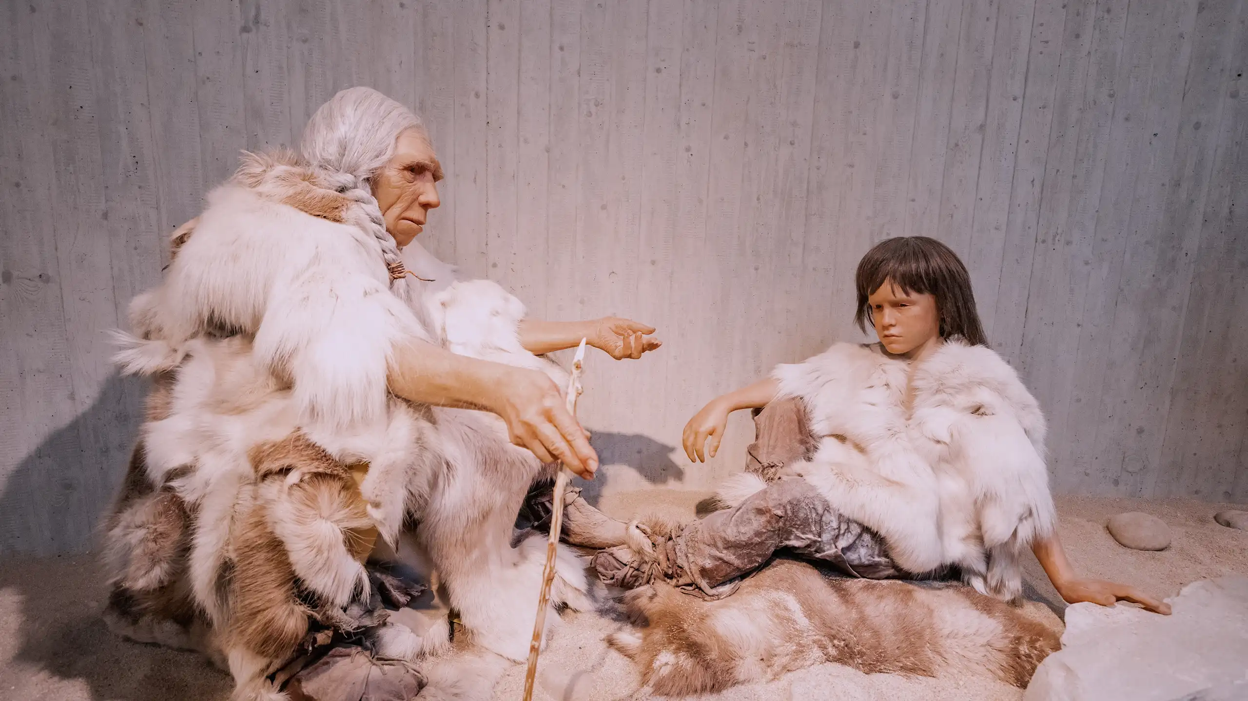 Models of neanderthal teaching her granddaughter.