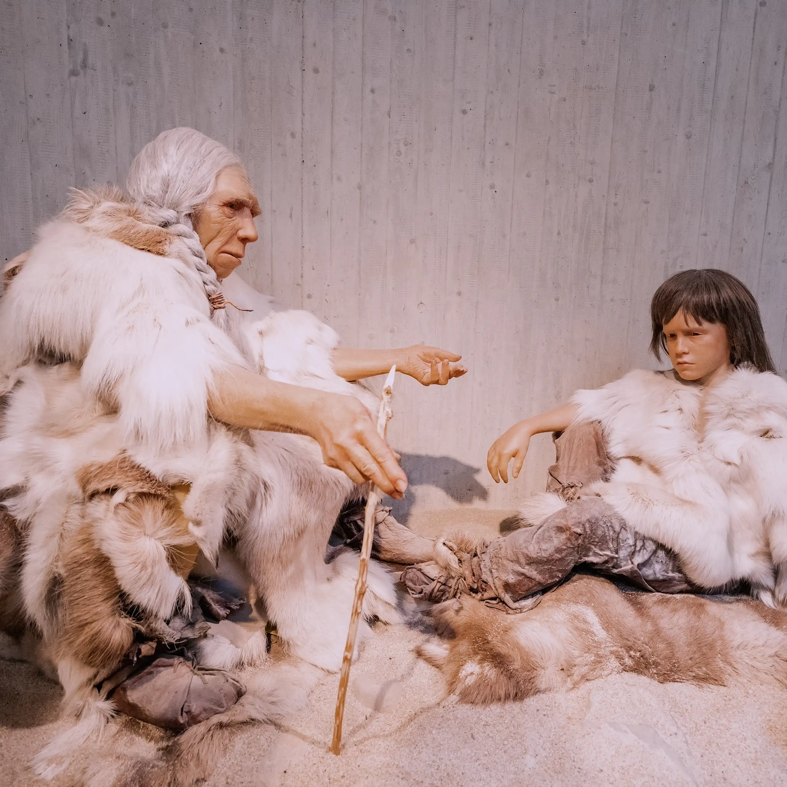 Models of neanderthal teaching her granddaughter.
