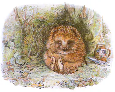 illustration of hedgehog sitting among leaves