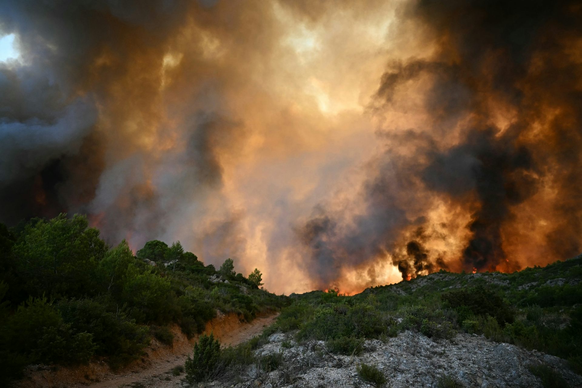 feu de végétation