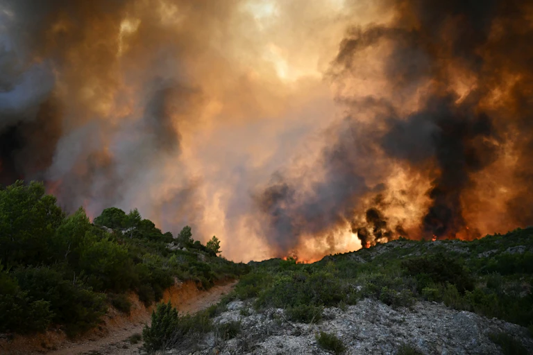 feu de végétation