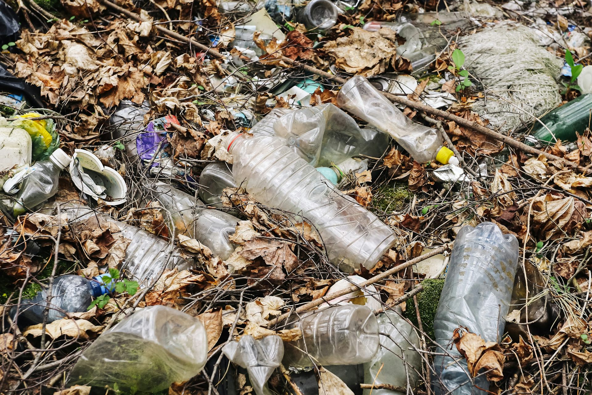 Gros plan sur un tas de déchets domestiques.