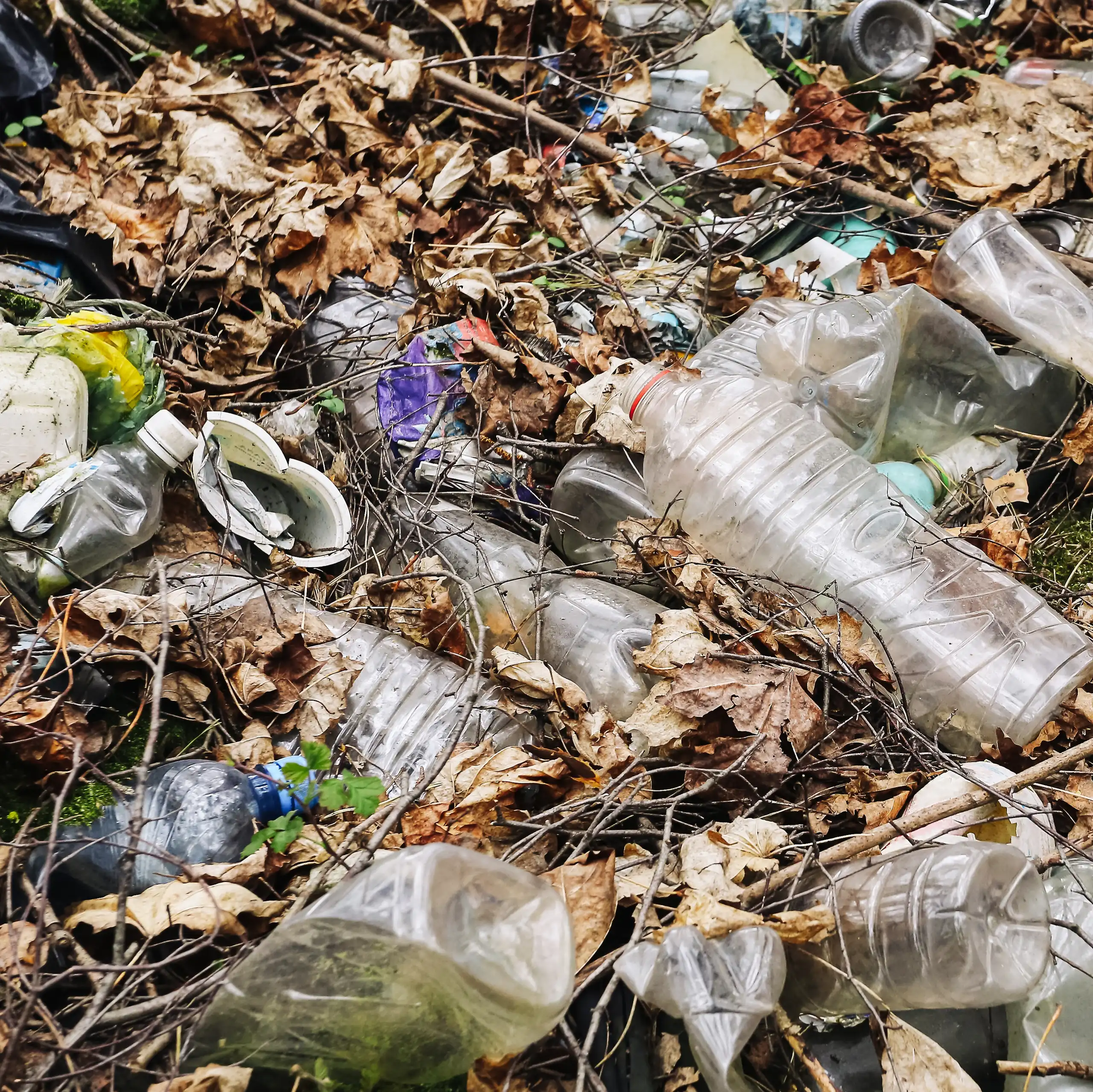 Gros plan sur un tas de déchets domestiques.