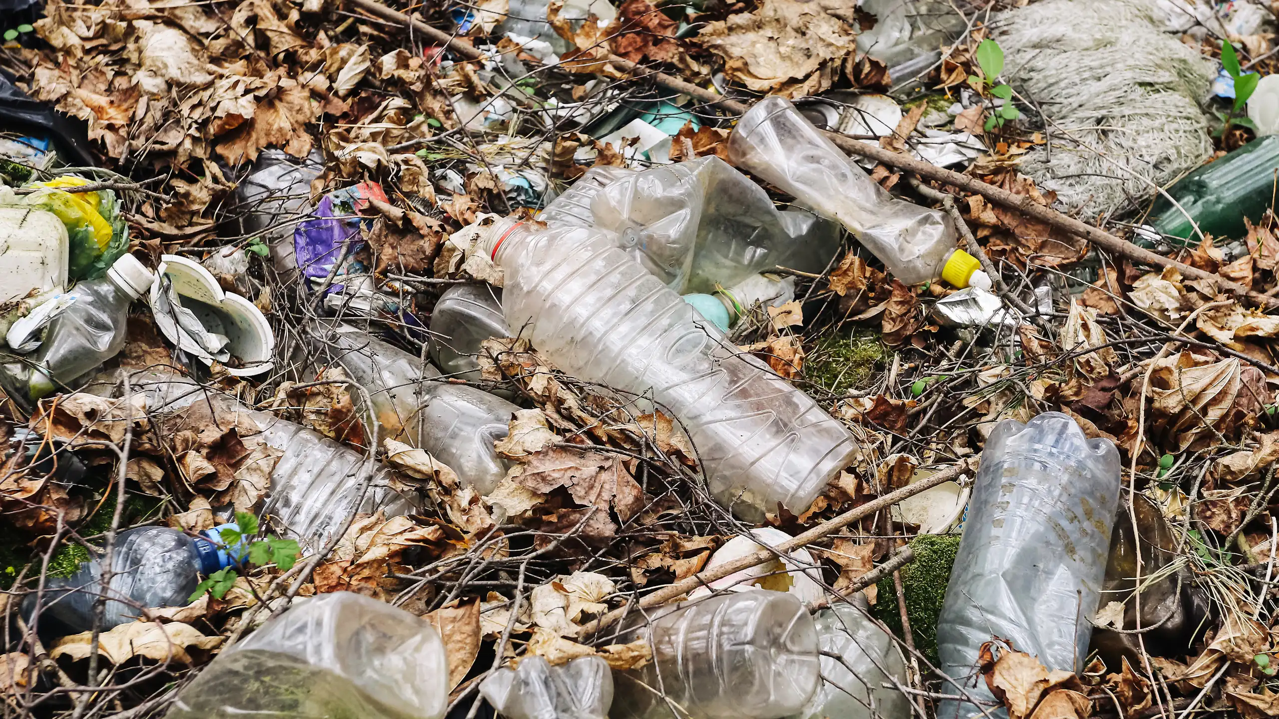 Gros plan sur un tas de déchets domestiques.