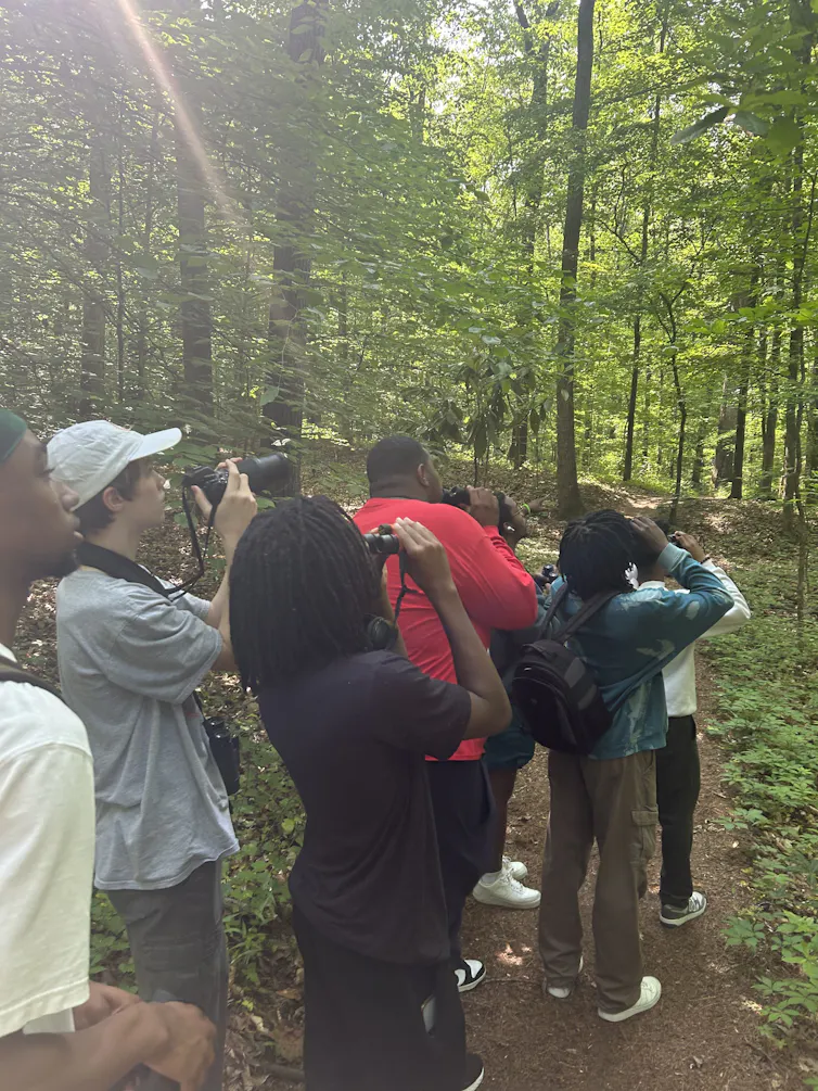 A group of people walking in a forest and looking up towards the sky with binoculars