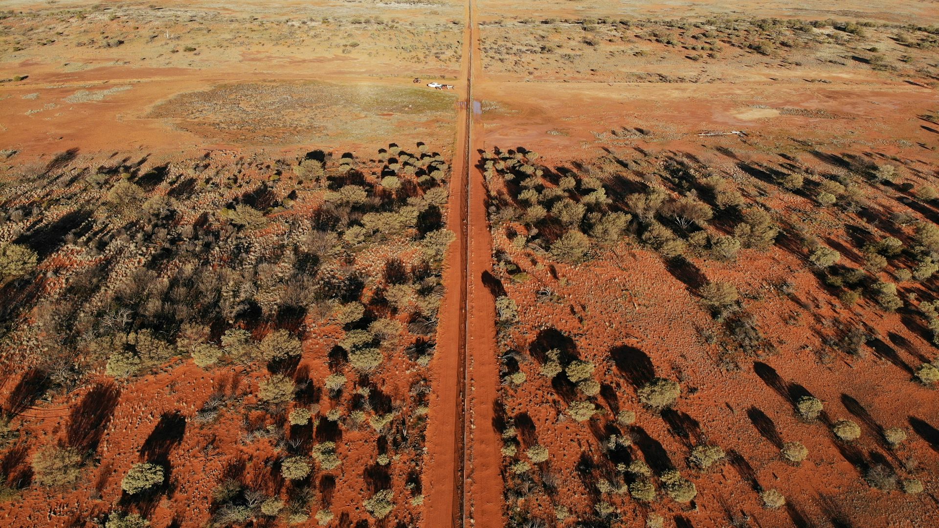 A remote aerial photo of a red desert landscape dotted with trees and the conservation fence running through the middle.