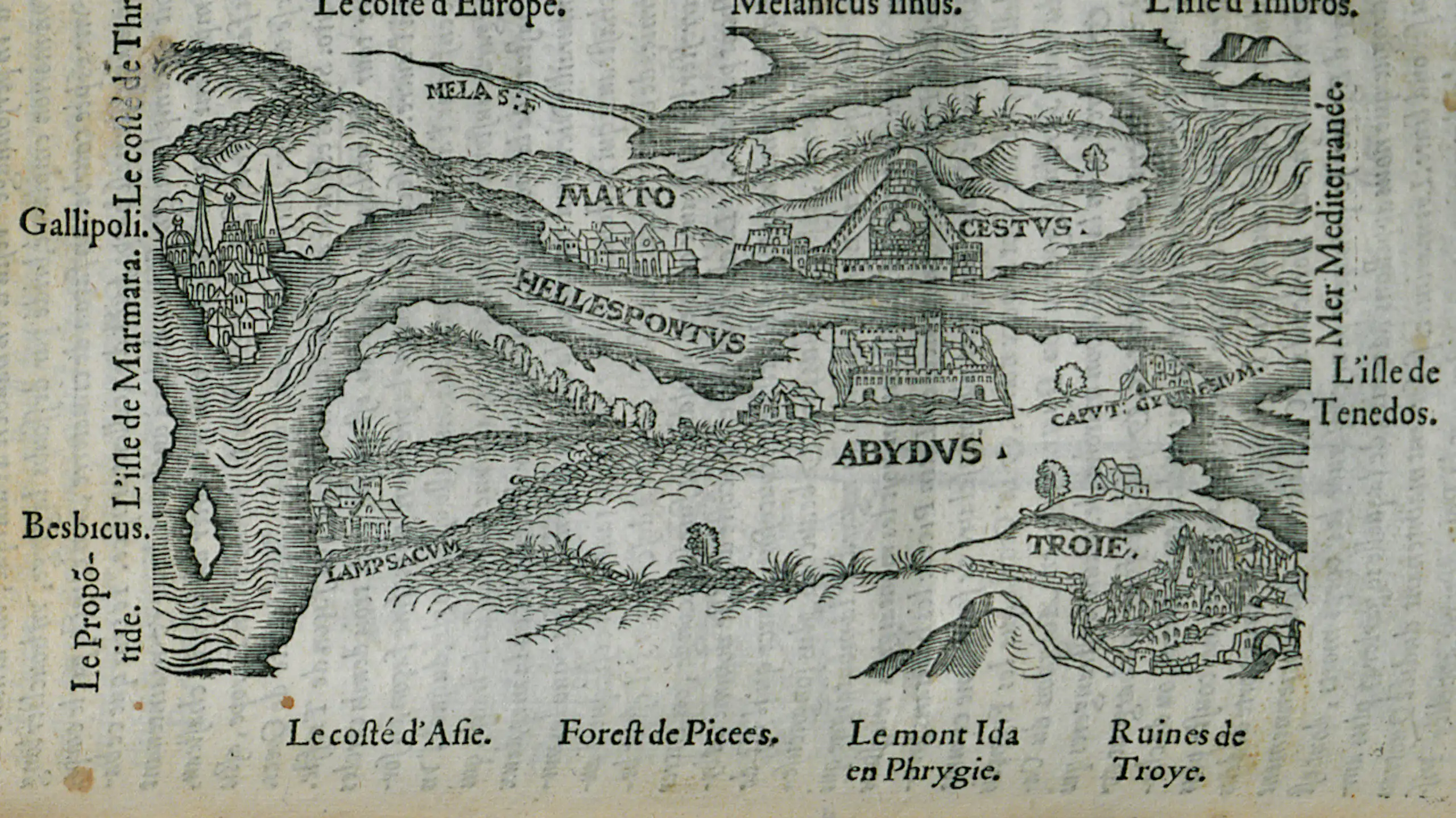 Pierre Belon. Les observations de plusieurs singularitez & choses mémmorables, trouvées en Grèce, Asie, Judée, Égypte, Arabie, aux autres pays étrangers, Paris, Guillaume Cavellat & Gilles Corrozet, 1554.