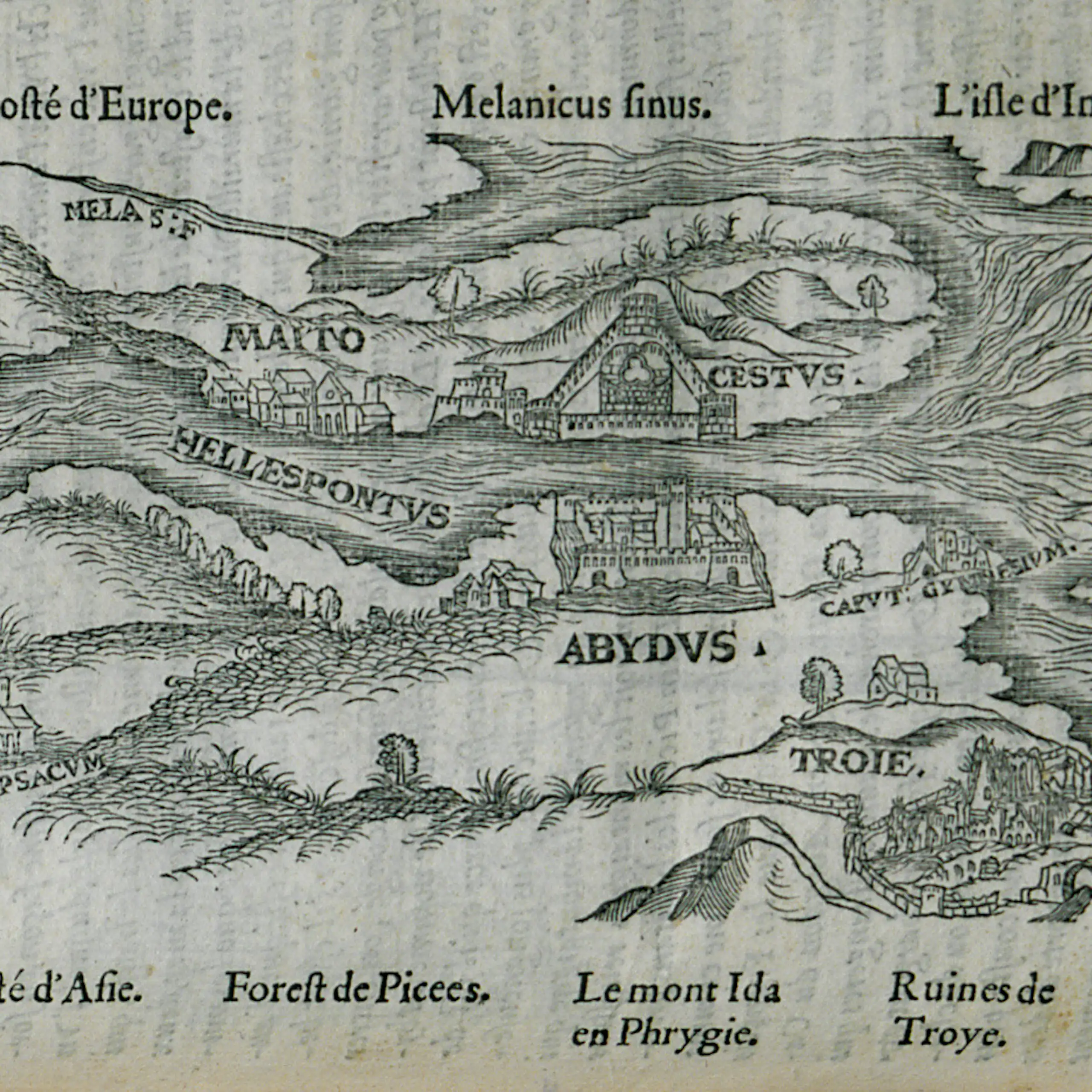 Pierre Belon. Les observations de plusieurs singularitez & choses mémmorables, trouvées en Grèce, Asie, Judée, Égypte, Arabie, aux autres pays étrangers, Paris, Guillaume Cavellat & Gilles Corrozet, 1554.