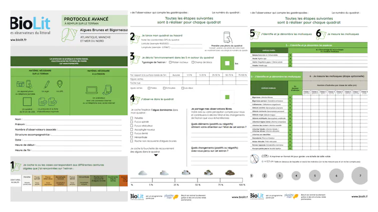 Working out the have an effect on of warmth waves on coastal biodiversity the use of participatory science 1 file 20260721 83 hhuvbi.png?ixlib=rb 4.1