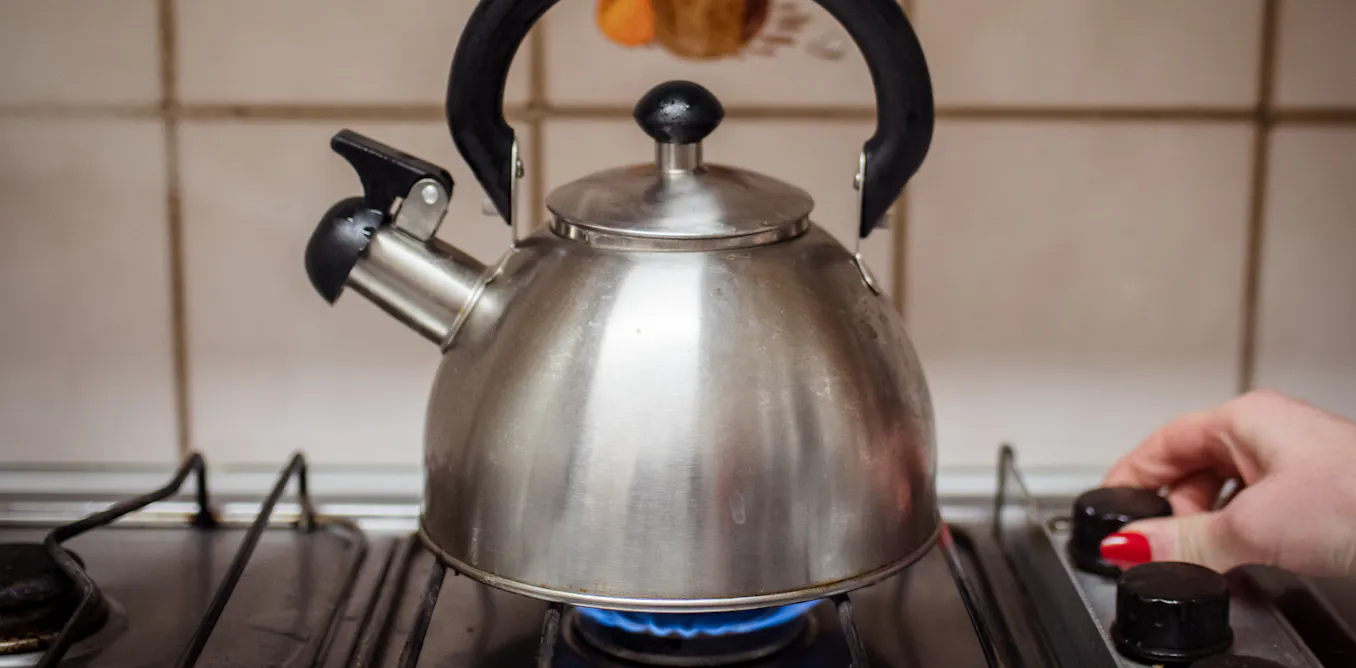 Replacing gas stoves with electric stoves greatly reduces asthma symptoms Replacing gas stoves with electric stoves greatly reduces asthma symptoms