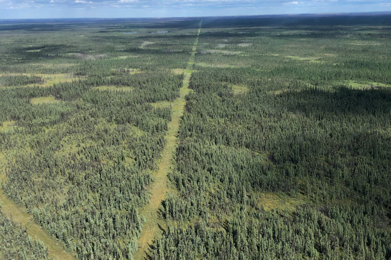 Une longue bande rectiligne de terrain déboisé s'étend à travers la forêt