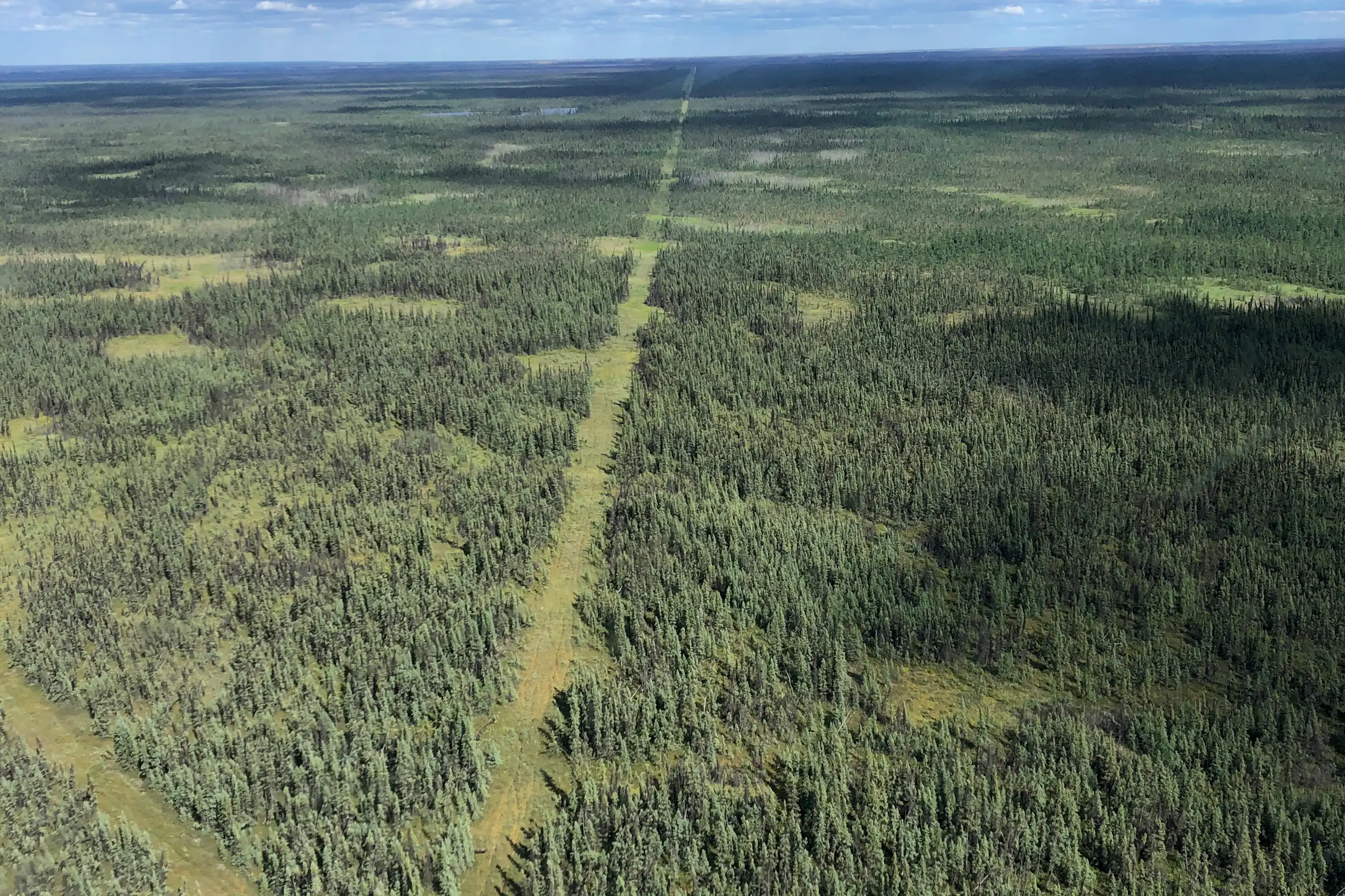 Une longue bande rectiligne de terrain déboisé s'étend à travers la forêt