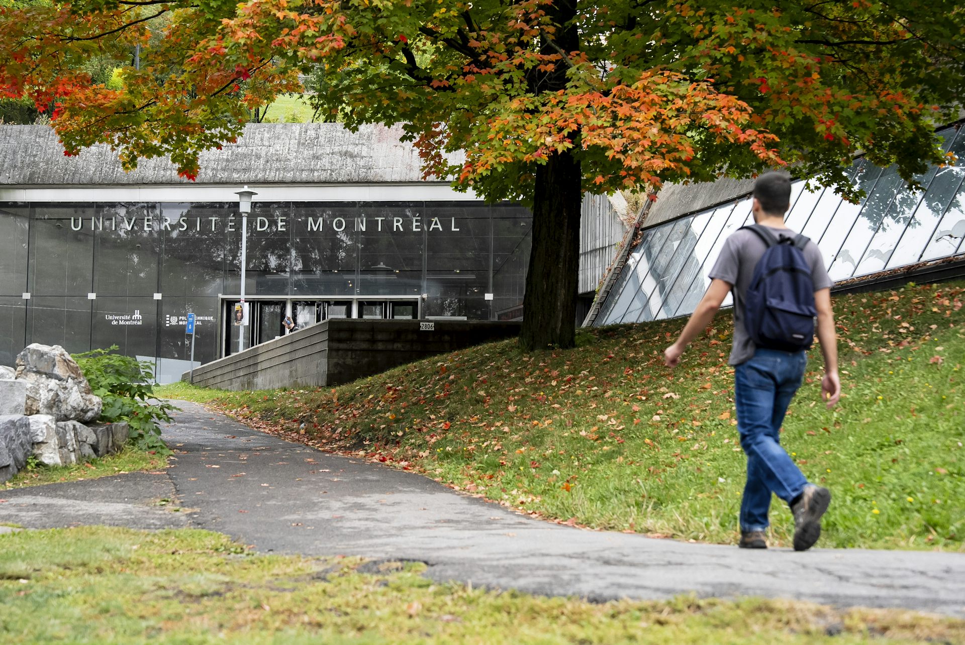 Why the real test of Canada’s AI strategy is in university classrooms — GLOBAL — Aslikannih