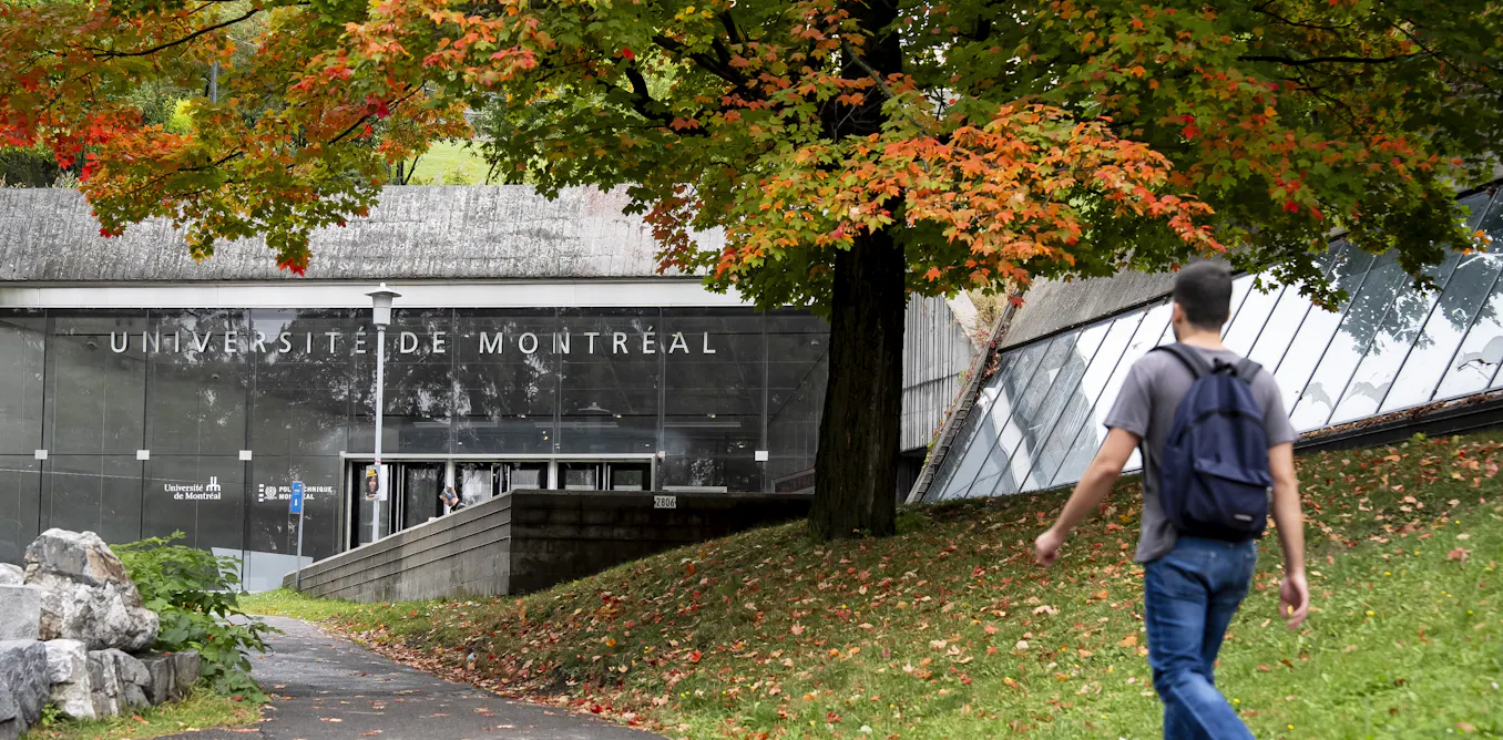 Why the real test of Canada’s AI strategy is in university…