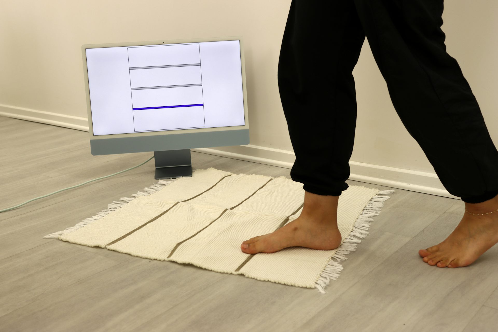 A woven area rug showing the sensor activity on a computer screen when someone is stepping on it.