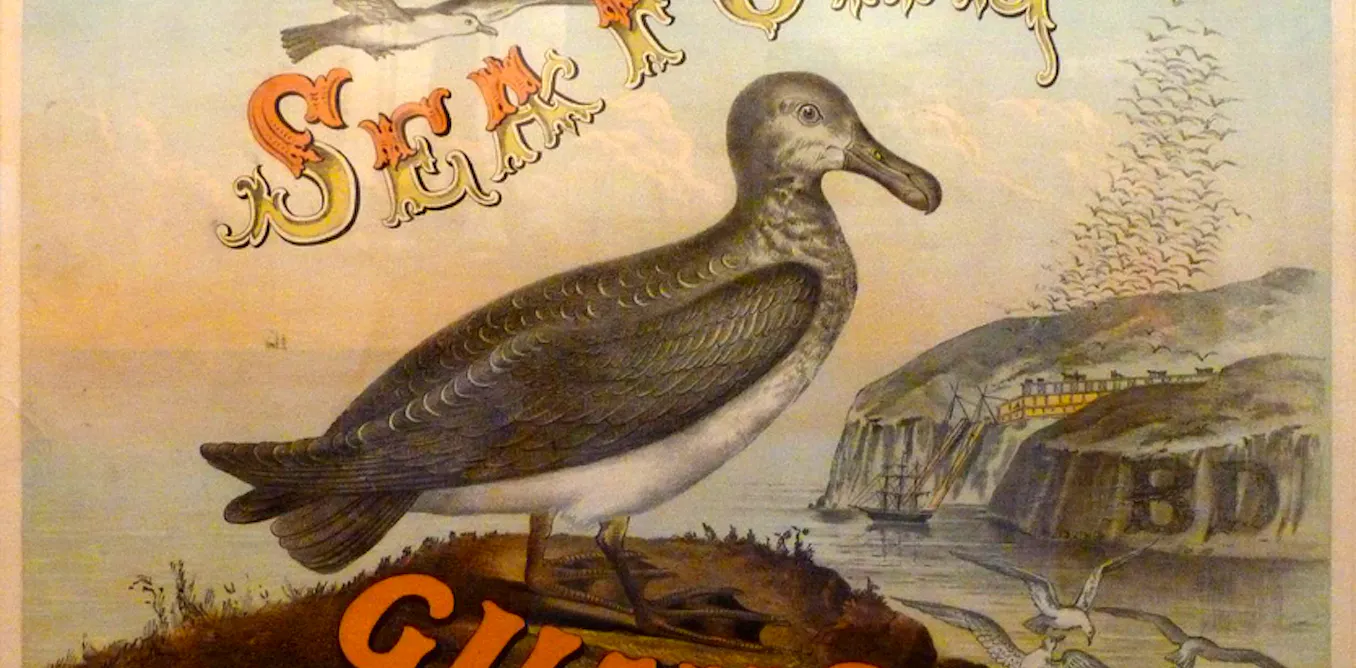 Bird droppings were a foundation of modern agriculture and American empire Bird droppings were a foundation of modern agriculture and American empire