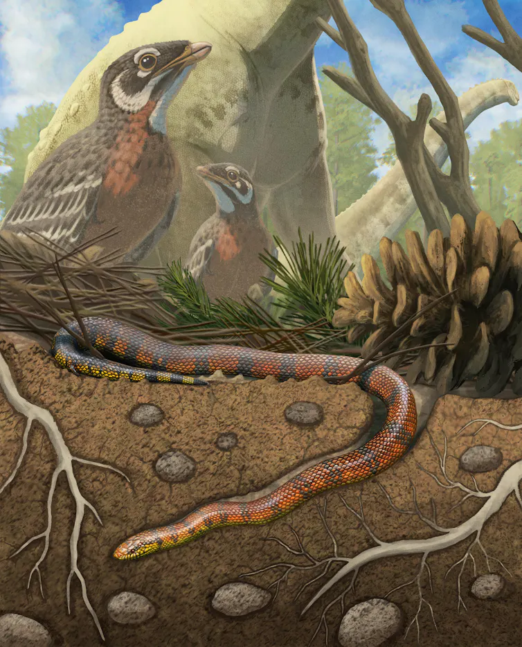 An artwork of a snake burrowing underground, with birds and dinosaurs in the background.