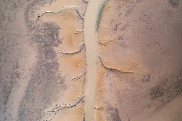 „Ein Fluss ist unsere Lebenskraft“: Warum indigene kulturelle Werte im Naturschutz sichtbar sein müssen „Ein Fluss ist unsere Lebenskraft“: Warum indigene kulturelle Werte im Naturschutz sichtbar sein müssen