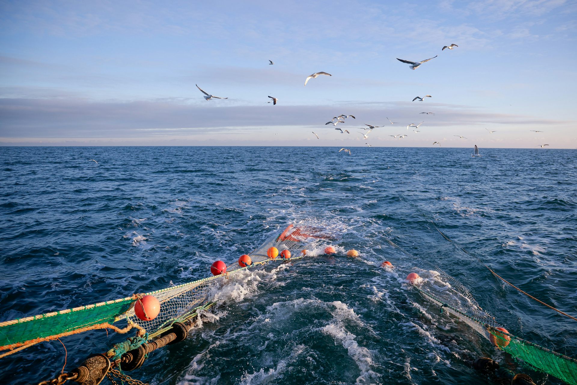 With contentious fisheries reforms on hold, should NZ rethink bottom trawling?