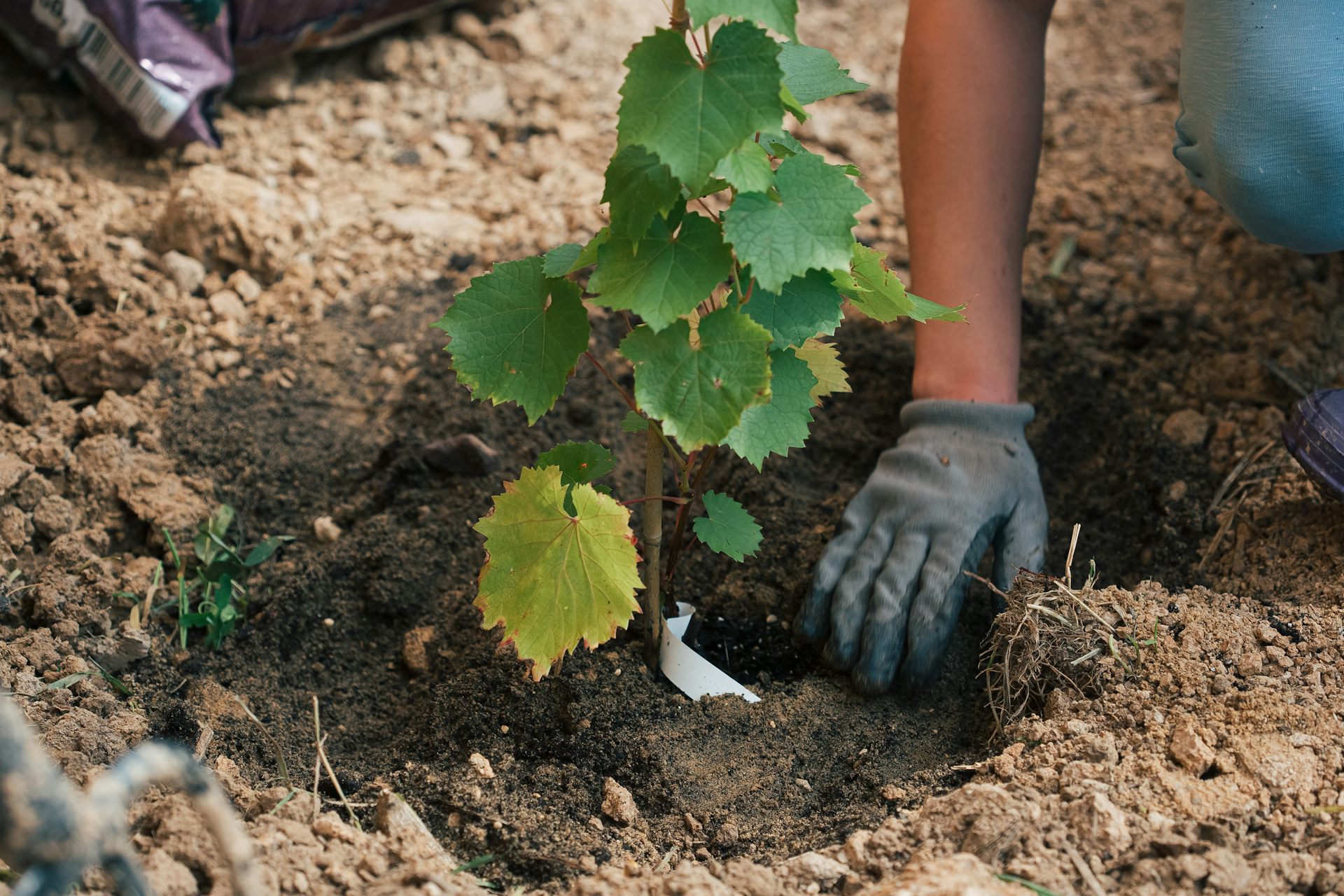 Climate-related ‘silent adaptation’ coping strategies are going beyond official directives
