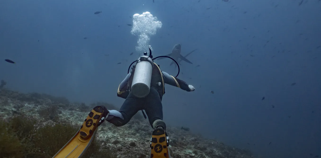 Scuba divers underestimate how much damage they do to coral reefs – we’ve watched hundreds to find out why